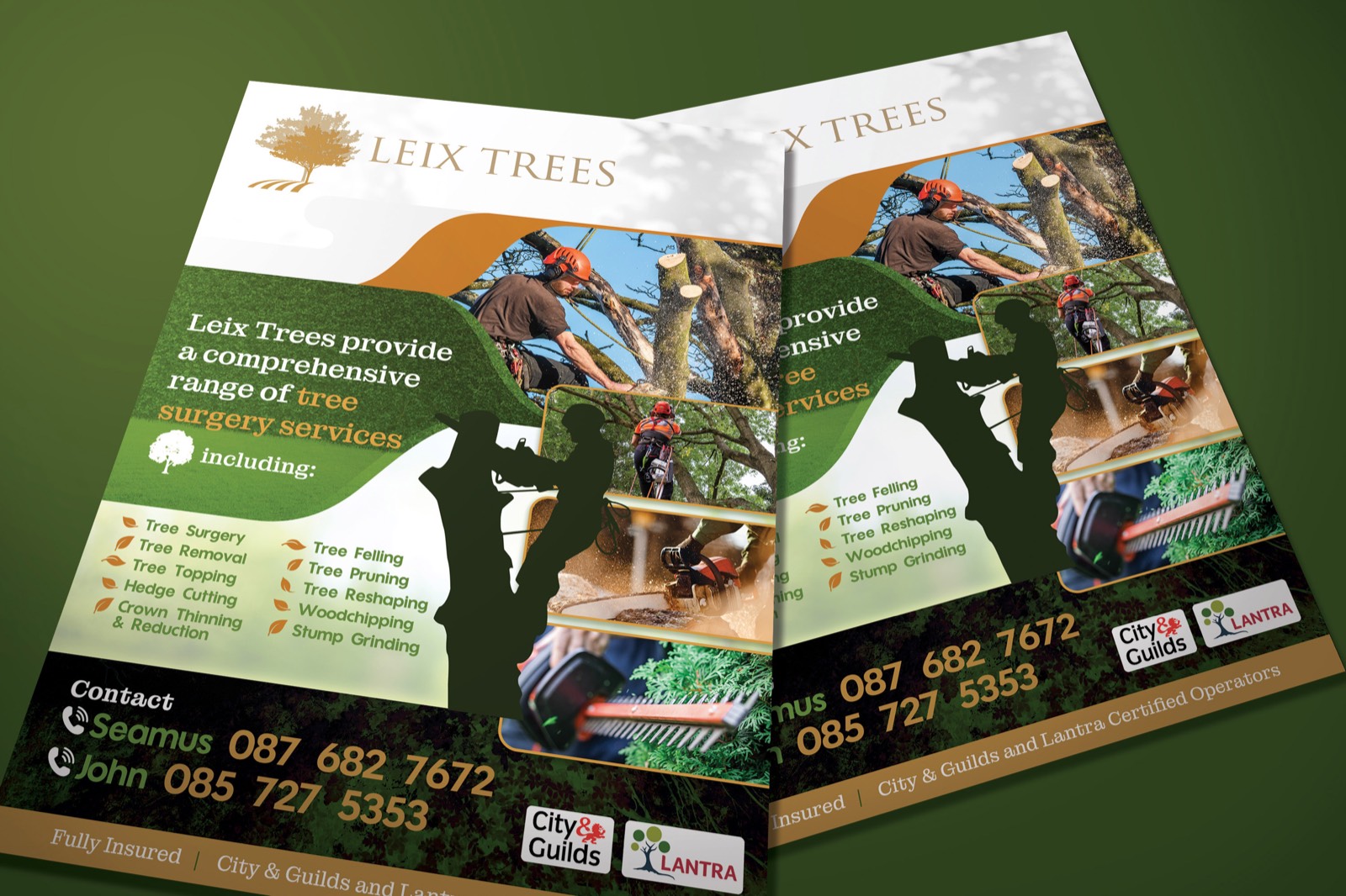 Leix Trees Flyer Design